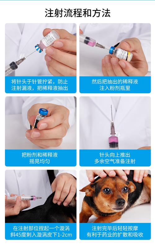 辉瑞卫佳与瑞必威 狗狗狂犬疫苗及幼犬核心疫苗全指南